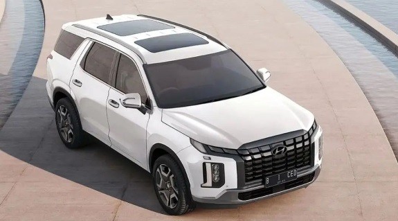 Palisade 2022