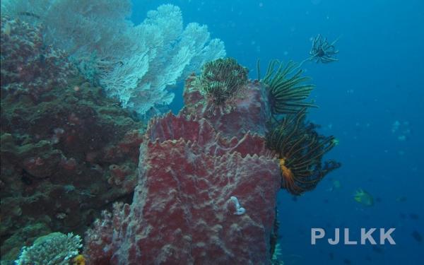 Taman Laut Bunaken di Sulawesi Utara (Foto: Dok PJLKK)