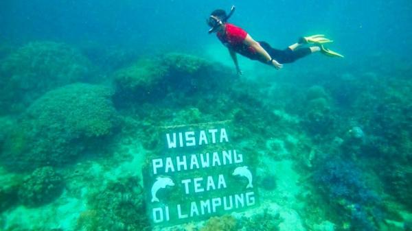 Pulau Pahawang Sandi Menparekraf Sandiaga Uno saat di Pulau Pahawang, Pesawaran, Lampung (Instagram Sandiaga Uno)