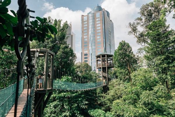 15 rekomendasi tempat wisata di Kuala Lumpur 6 Bukit Nanas Kuala Lumpur. (Foto: Shutterstock)