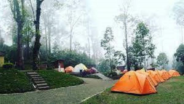 mojosemi Mojosemi Forest Park (Foto: Mearindo).