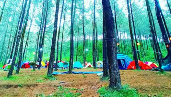 putuk Putuk Panggang Welut (Foto: IG @roryasrory).