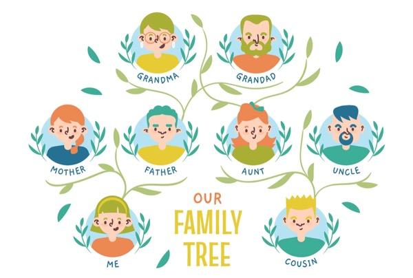gambar pohon keluarga atau family tree gambar pohon keluarga atau family tree