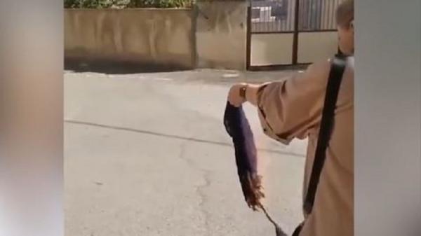 protes kematian Mahsa Amini Perempuan Iran memotong rambut, membuka dan membakar jilbab sebagai bentuk protes atas kematian Mahsa Amini setelah dipukuli polisi moral. (Foto: tangkapan layar video/Twitter Masih Alinejad)