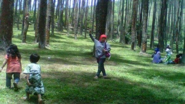 HUTAN PINUS BATU KUDA Pengunjung menikmati kesejukan hutan pinus Batu Kuda, Kampung Cikoneng, Cibiru Wetan, Kabupaten Bandung. (FOTO: ISTIMEWA)