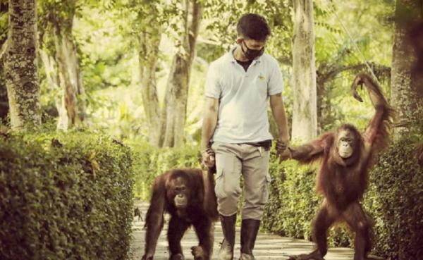 Bali Zoo Park Bali Zoo Park (Foto: Instagram @balizoopark)