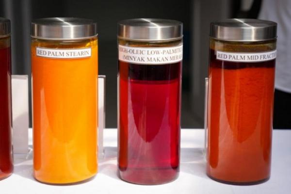 Minyak Makan Merah Menkop UKM Teten Masduki menargetkan minyak makan merah bisa mulai diproduksi pada Januari 2023, seiring dengan dikeluarkannya SNI oleh BSN. (Foto: Antara/HO-Kemenkop UKM)