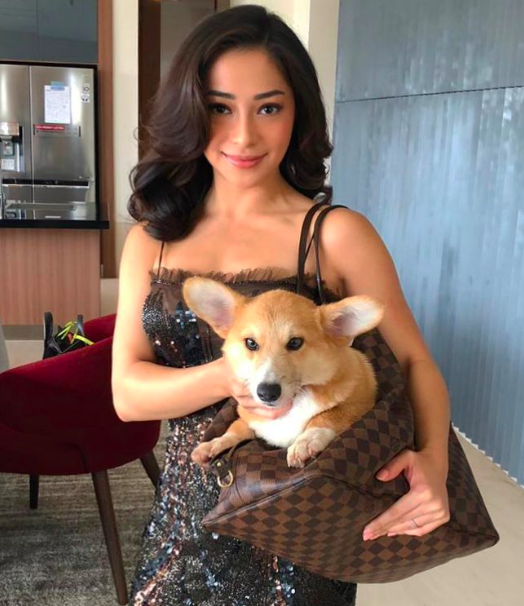 Screen Shot 2022 10 07 At 06 28 39 Artis Cantik Memelihara Anjing. (Foto: Instagram)