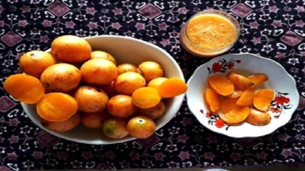 Daftar Buah Langka Jadi Nama Daerah di Jakarta, Buah Gandaria (Foto: Dok Balai Pertanian) Daftar Buah Langka Jadi Nama Daerah di Jakarta, Buah Gandaria (Foto: Dok Balai Pertanian)