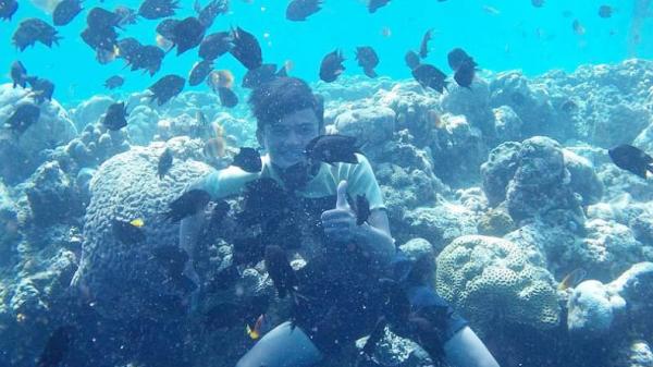 Bunaken Wisatawan sedang menikmati pemandangan Taman Laut di Sulawesi Utara yakni Bunaken. (Foto: MPI/Cahya Sumirat)