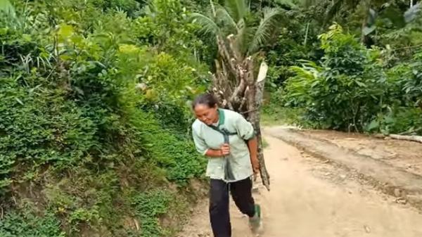 mata pencaharian warga pelosok Warga di pedalaman Trenggalek Jawa Timur pulang dari mencari kayu bakar. (Foto: YouTube @tobilvlog).