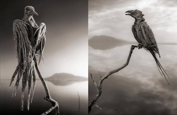 Danau Natron1
