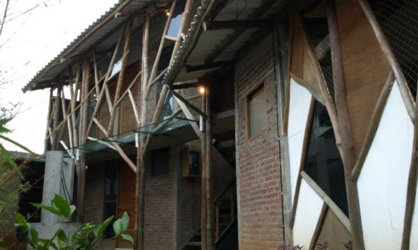 Rumah ranting Rumah ranting (Foto: Ist/net)