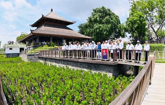 Jokowi Mangrove2 5 (Foto: BPMI Setpres)