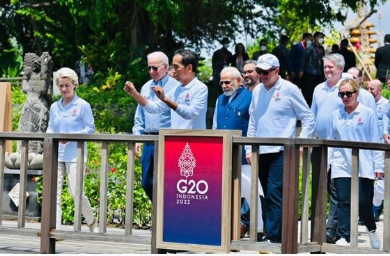 Jokowi Mangrove3 5 Castelul Corvinilor (Foto: Instagram/Castelul Corvinilor)