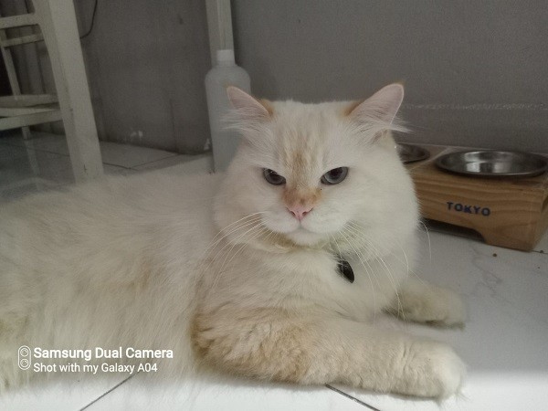 Foto Galaxy A04