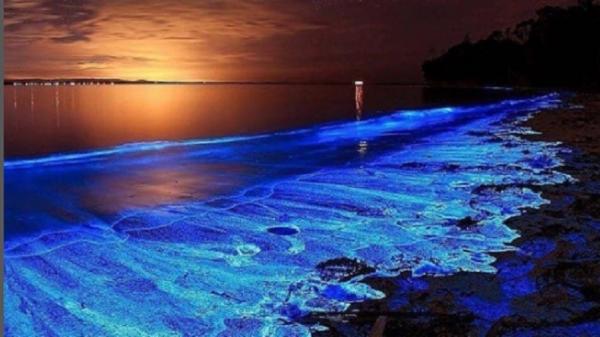 Pasir pantai berwarna unik di dunia, Pulau Vaadhoo Maladewa (Foto: Instagram/Ade Tour) Pasir pantai berwarna unik di dunia, Pulau Vaadhoo Maladewa (Foto: Instagram/Ade Tour)