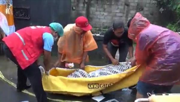 Pria Tewas Gianyar Pria tewas di aliran sungai dievakuasi ke RS Sanjiwani, Gianyar. (Foto: Ketut Catur Kusumaningrat)