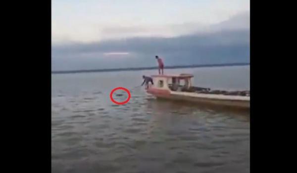 Tangkapan layar video amatir penemuan mayat ABK di perairan Nunukan, Kalimantan Utara. (Foto: Usman Coddang)