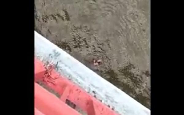 Percobaan bunuh diri 3 Korban mengambang di atas Sungai Musi setelah melompat dari Jembatan Ampera. (Foto: tangkapan layar/M David)