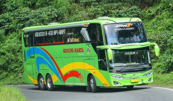 Bus Tronton