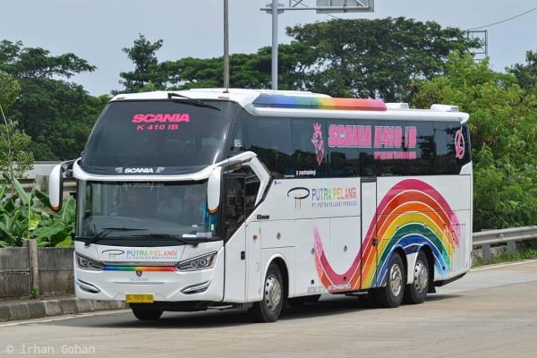 Bus Tronton