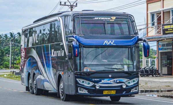 Bus Tronton
