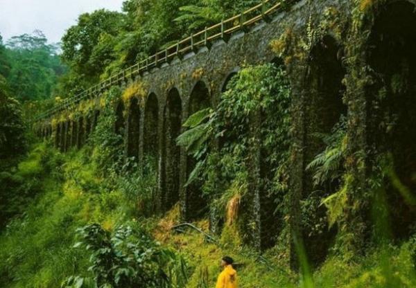 Jembatan Plunyon Ig Pesonajogja Id Jembatan Plunyon Kaliurang. (Foto :@pesonajogja.id)