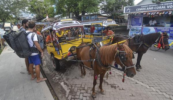 Ant Gili Trawangan 1 Gili Trawangan. (Foto: Antara/HO-Husni)