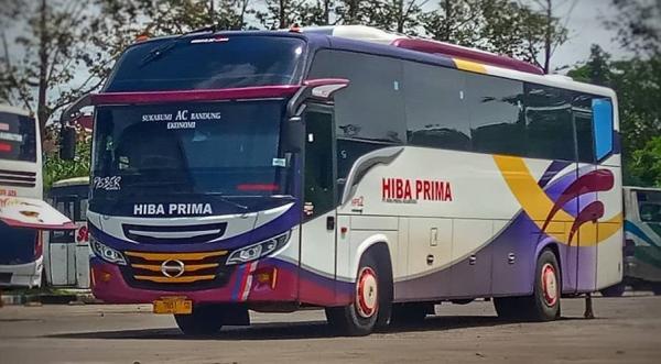 Hiba Prima