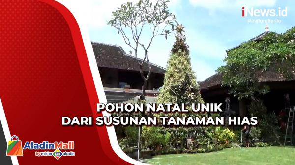 Kreasi Unik, Pohon Natal dari Susunan Seribu Pot Tanaman Hias di Badung