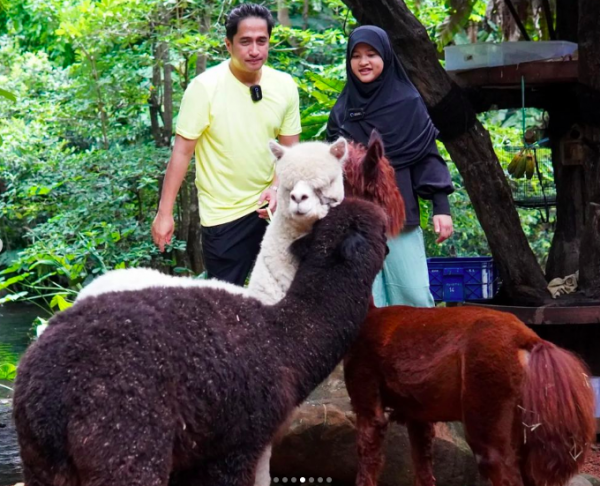 Screen Shot 2022 12 23 At 16 59 29 Artis habiskan uang untuk hewan peliharaan.