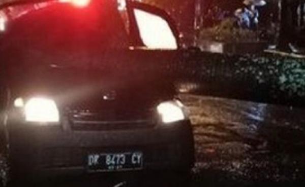 Mobil pikap tertimpa pohon tumbang tewaskan pengendara. (Foto: @bpbd_kota_denpasar)