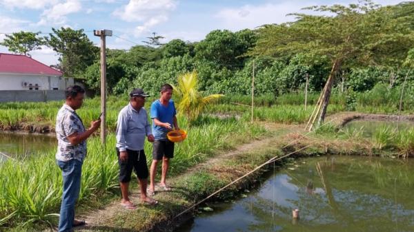 Anggota DPRD Palu dari Partai Perindo Marselinus-1 Anggota DPRD Palu dari Partai Perindo Marselinus memberdayakan masyarakat melalui program pembuatan kolam bioflok (Perindo)