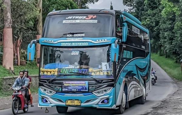 Kupu Kupu Ayu 1