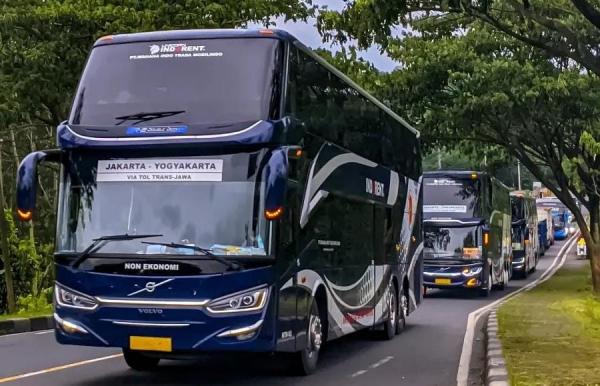 Unicorn Indorent
