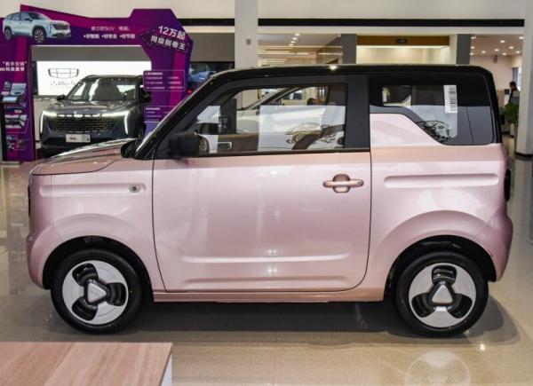 Geely Panda Mini EV 2