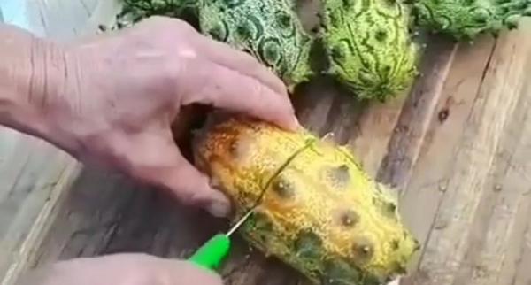 Kiwano