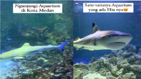 Harga Tiket Masuk Central Park Zoo, Akuarium