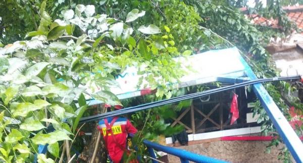 Pohon Tumbang Timpa Jembatan