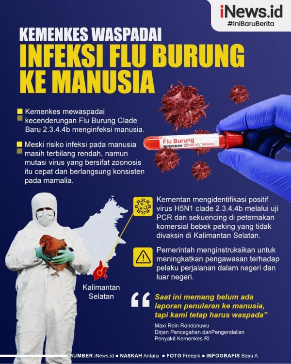 Kemenkes 1 Kemenkes mewaspadai kecenderungan Flu Burung Clade Baru 2.3.4.4b menginfeksi manusia. (Grafis iNews/Bayu)