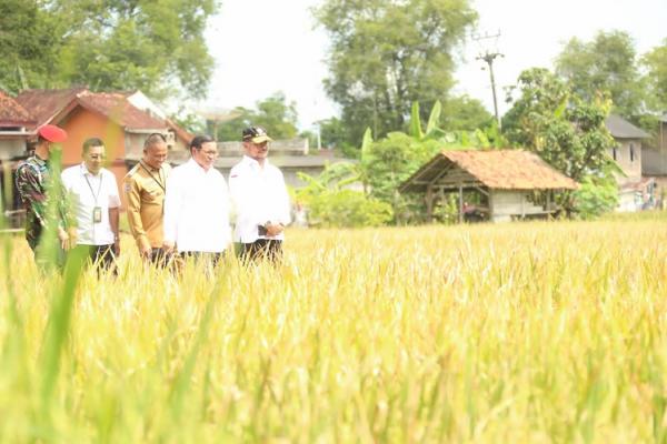 Mentan SYL canangkan percepatan penanaman padi. (Foto: dok Kementan)