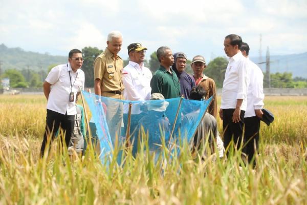 Mentan SYL percepatan penanaman padi (Foto: dok Kementan)