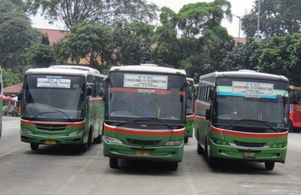 Mayasari Bakti