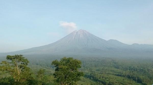 Gunung Semeru Gunung Semeru. (Foto: Antara)