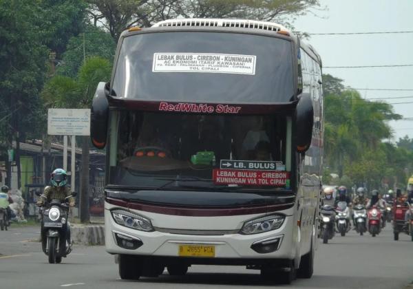 Primajasa
