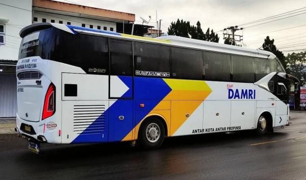 Damrii