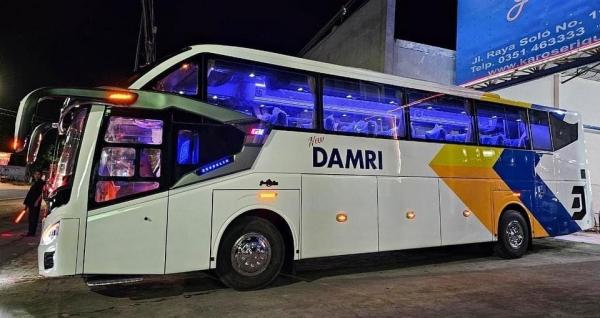 Damri 6