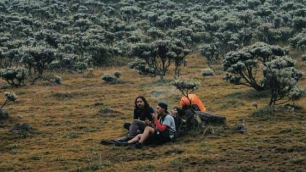 Alun Alun Suryakencana Fakta Gunung Gede Pangrango yang menarik lainnya yakni keberadaan Alun-alun Suryakena. (Foto: Instagram/@akarifqumaula)