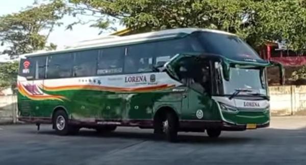 Bus Lorena 3